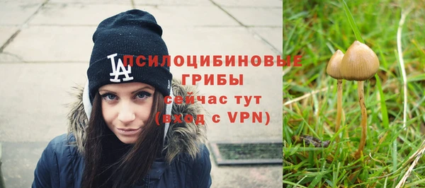 герыч Алексеевка
