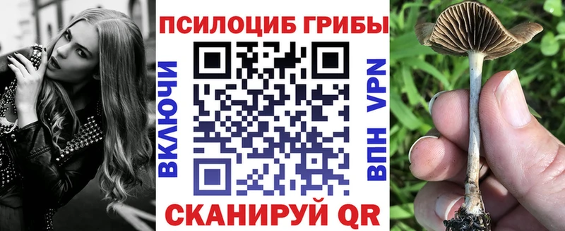 даркнет формула  Печоры  Псилоцибиновые грибы прущие грибы 